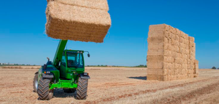 Cómo se gestiona la prevención de riesgos en el sector agrícola