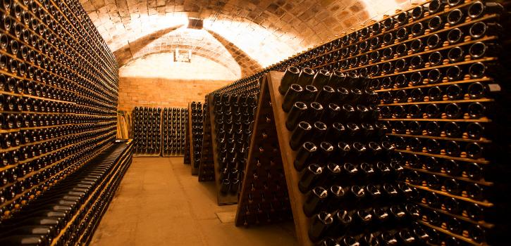 Que debemos tener en cuenta en la prevención de riesgos de una bodega de vino