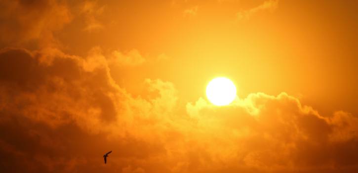 ¿Es la exposición a la radiación solar un riesgo laboral en España?
